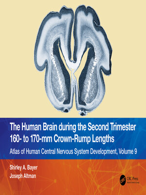 cover image of The Human Brain during the Second Trimester 160– to 170–mm Crown-Rump Lengths